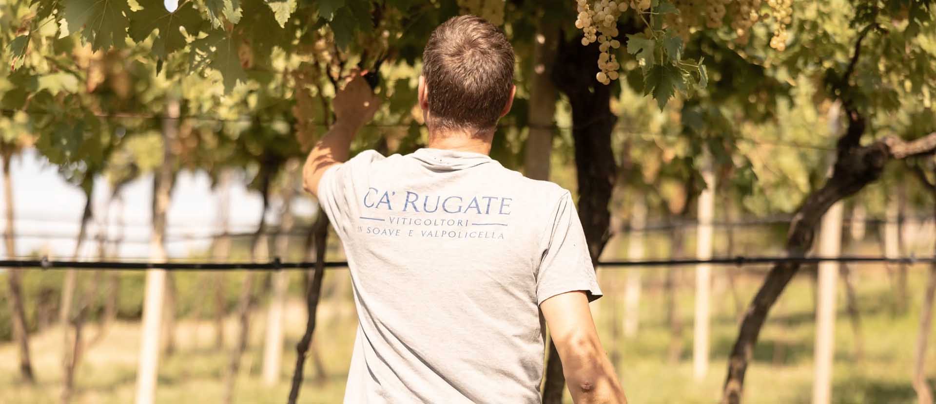 CaRUgate 2